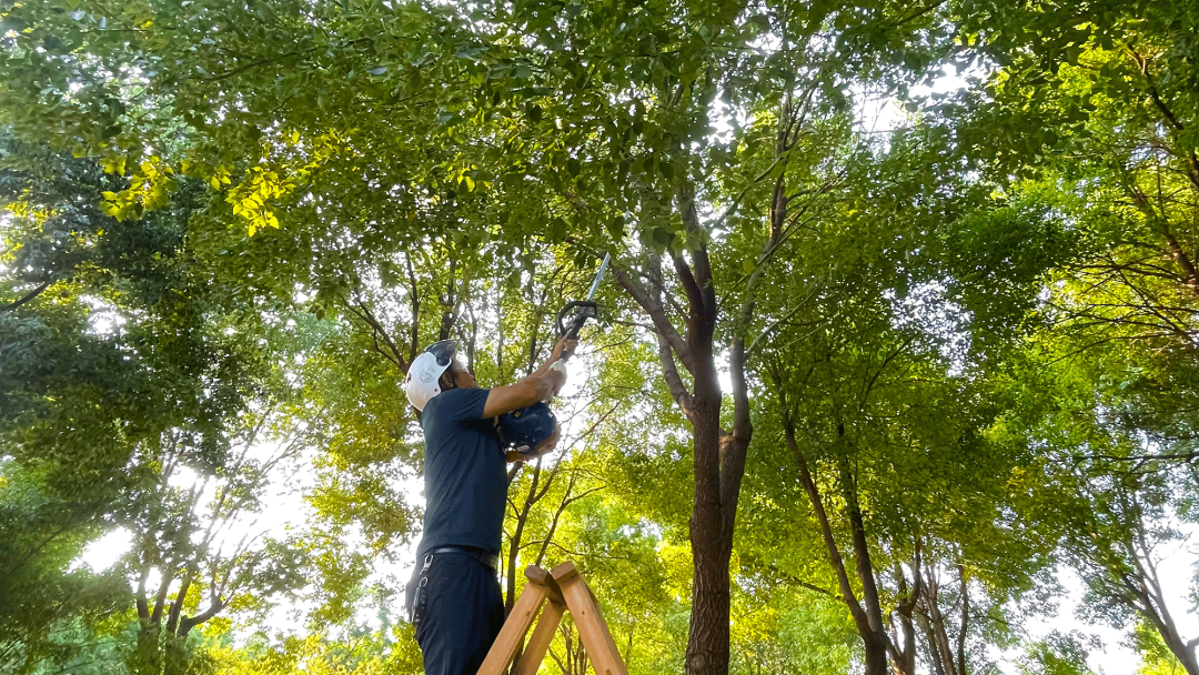保洁园区清理不及时整改总结_保洁园区清扫工作计划_园区保洁